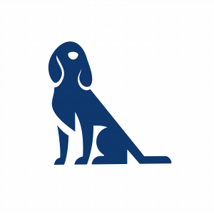 Sorgloser Tierschutz: Hundehalterhaftpflichtversicherung schützt vor Haftungsansprüchen bei Schäden durch Ihren Hund
