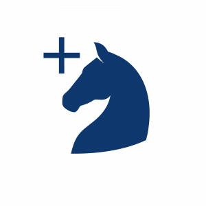 Sorglos für die Gesundheit Ihres Pferdes: Pferde-OP-Versicherung bietet finanzielle Absicherung für Operationen.